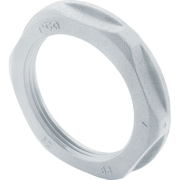 Ecrou Nylon Ral7035Pg29 legrand 386877