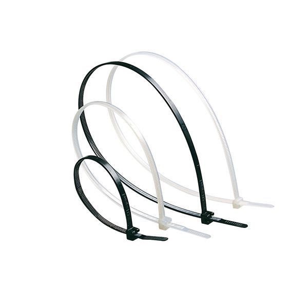 Collier Colring Noir À Denture Intérieure Largeurs 2,4Mm Et legrand 032013