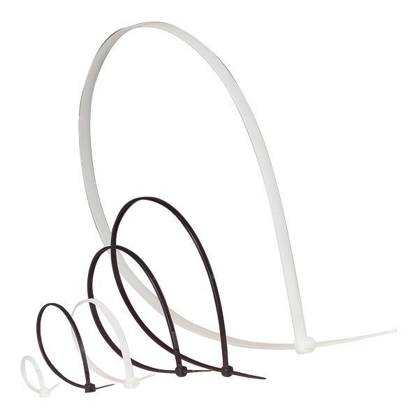 Collier Colring Noires À Denture Intérieure Largeur 2,4Mm Et legrand 032014