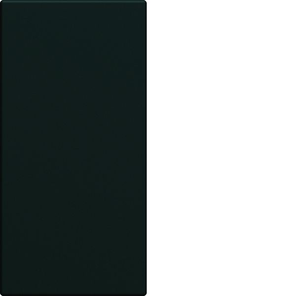 Enjoliveur Gallery interrupteur 1 module , finition Nuit WXD010N