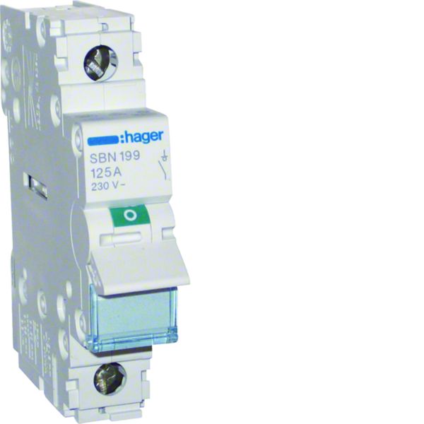 Interrupteur sectionneur 125A 1P 1 module SBN199