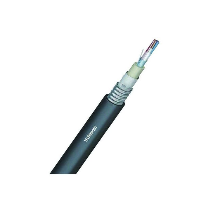 Câble téléreport armé noir 2 fils - couronne de 100m