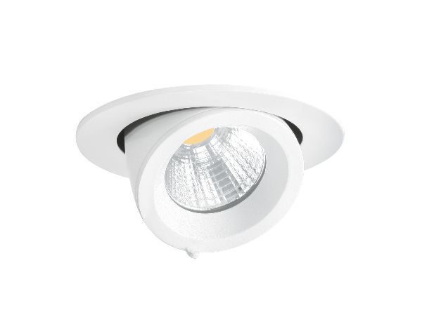 Randy 1 - downlight rond, orientable, blanc, 50°, led intég 13w 4000k - 50123