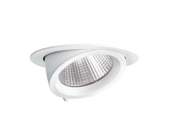 Randy 2 - downlight rond, orientable, blanc, 70°, led intég 25w 4000k - 50124