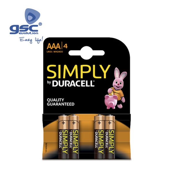 Pile Alcaline DURACELL Basic LR6 (AA), Blister 4 U | 009000102