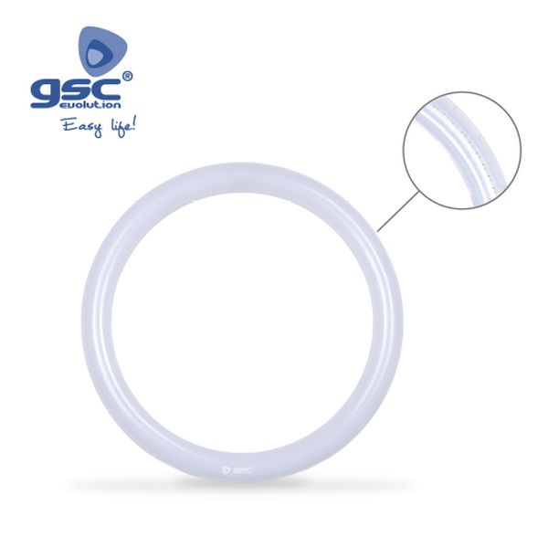 Tube circulaire LED 32W G10q 6500K | 002004882