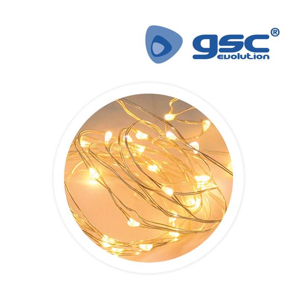 Guirlande LED 2M blanc chaud 20 LEDS. Batería 2xAA | 005204400