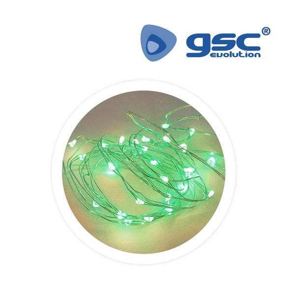 Guirlande LED 2M lumière verte 20 LEDS. Batería 2x | 005204404