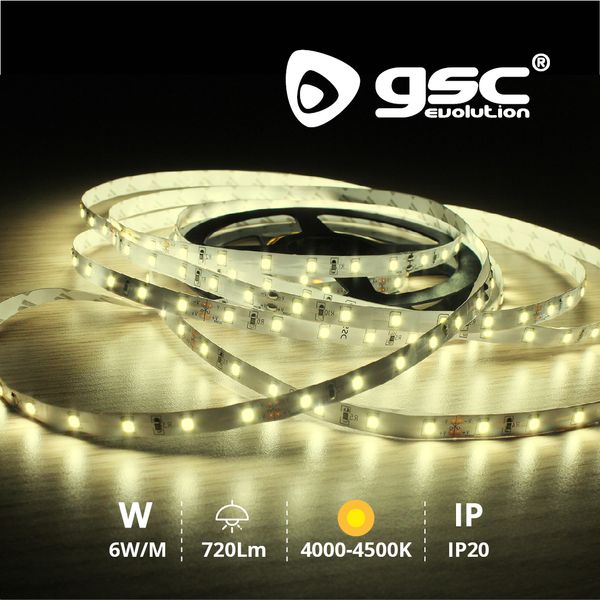 Rouleau 5M LED SMD2835 (6W) 4000K-4500K IP20 24V | 204030000