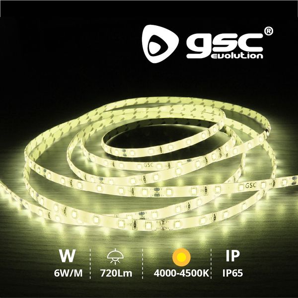 Rouleau 5M LED SMD2835 (6W) 4000K-4500K IP65 24V | 204030002