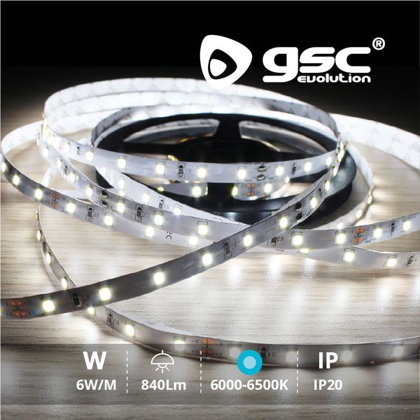 Rouleau 5M LED SMD2835 (6W) 6000K-6500K IP20 24V | 001504586