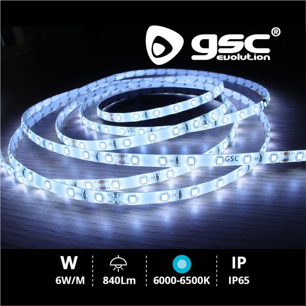 Rouleau 5M LED SMD2835 (6W) 6000K-6500K IP65 24V | 001504592