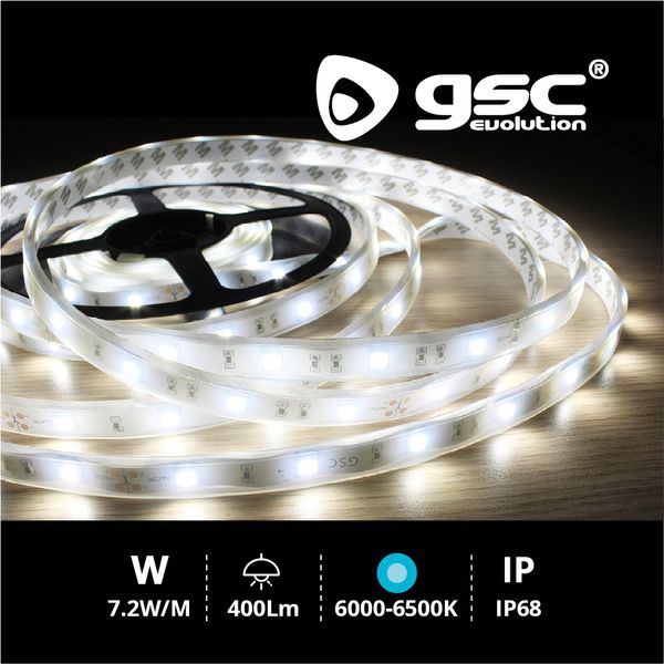 Rouleau 5M LED SMD5050 (7,2W) 6000K-6500K IP68 24V | 001504598