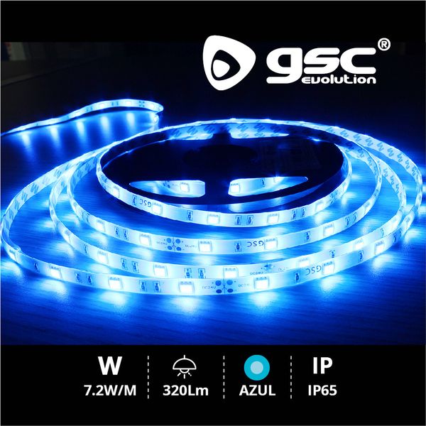 Rouleau 5M LED SMD5050 (7,2W) Bleu IP65 24V | 001504594