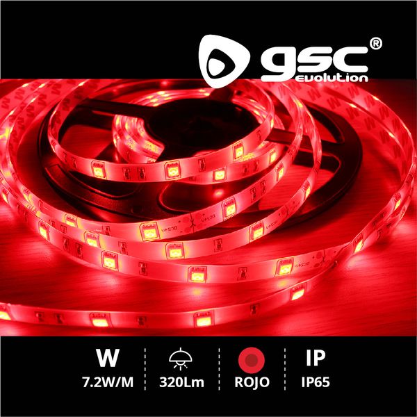 Rouleau 5M LED SMD5050 (7,2W) Rouge IP65 24V | 001504595