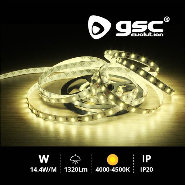 Rouleau 5M LED SMD5630 (14,4W) 4000K-4500K IP20 24 | 204030001