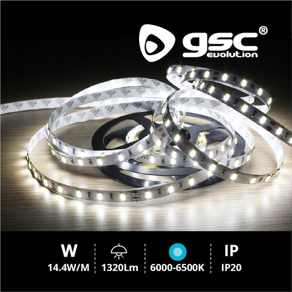 Rouleau 5M LED SMD5630 (14,4W) 6000K-6500K IP20 24 | 001504590