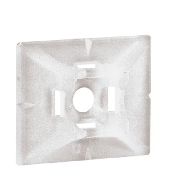 Embase Adhésive Incolore Colring Pour Colliers Largeur 4,6Mm legrand 032065