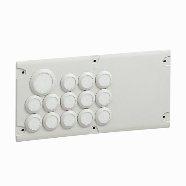 Plaque Cabstop Ip55 Avec 13 Entrées Ø5Mm À Ø14Mm Et 1 Sortie legrand 036494