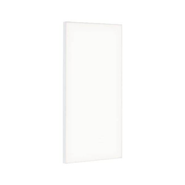 Panneau LED WallCeiling Velora 595x295mm 29W Blanc dépoli 230V Métal