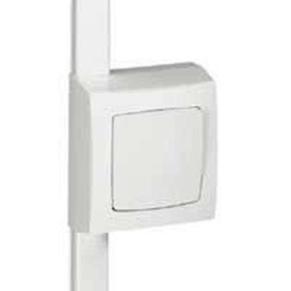 Cadre 1P H20/20-32-40-60-75 Blanc Sur Moulure legrand 031409