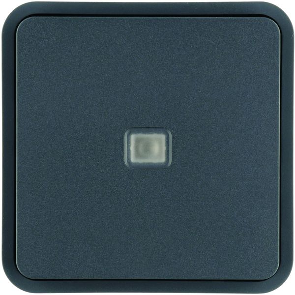 Cubyko 1 touche KNX à voyant coloris gris WNT912