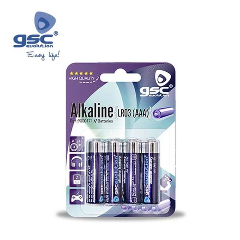 Piles Alcalines GSC evolution LR-03 (AAA), Blister | 009000171