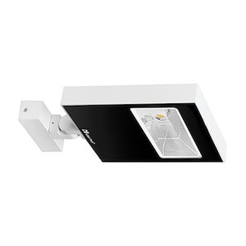Raypro Asym 50W 3000K 5650Lm Ip67 Blanc Mat