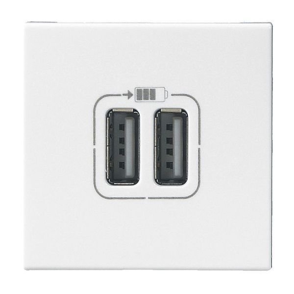 Double Chargeur Usb Mosaic Blanc 2 Modules legrand 099604