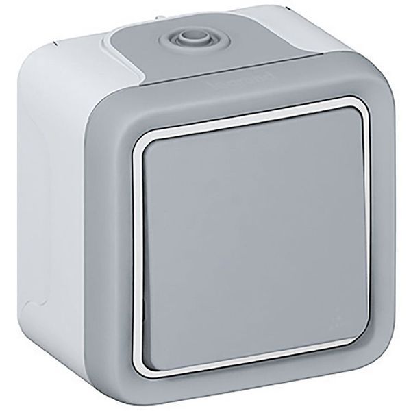 Poussoir No 10A Plexo Complet Ip55 Saillie Gris legrand 069720