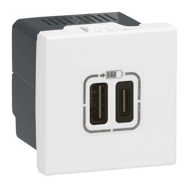 Chargeur 2 Usb Mosaic Type-C 3A 15W 2 Modules Blanc legrand 077590