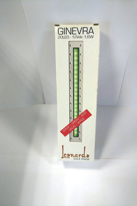 Ginevra Led Vert 0,3W 12V Acier Ip43 - Leo30868