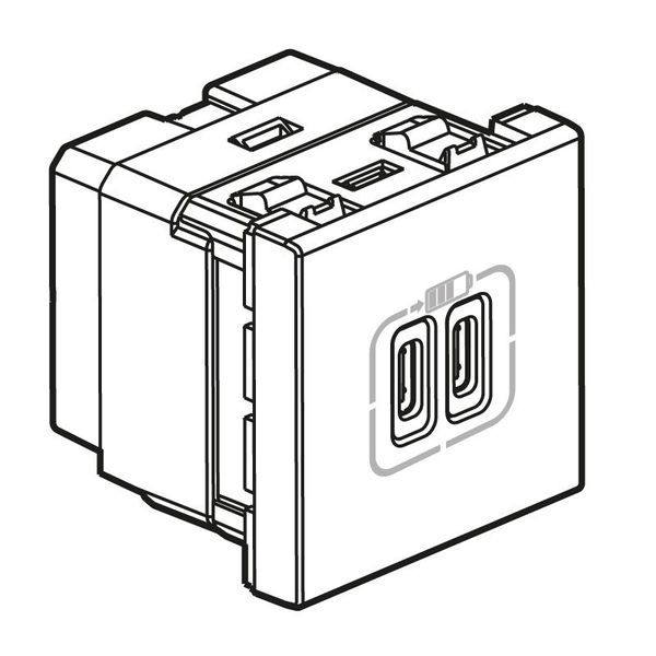 Chargeur 2 Usb Type-C 3A 15W Mosaic 2 Modules Alu legrand 079390