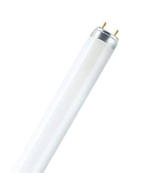 Ampoule Lumilux  T8 30w/865 G13 - 518015