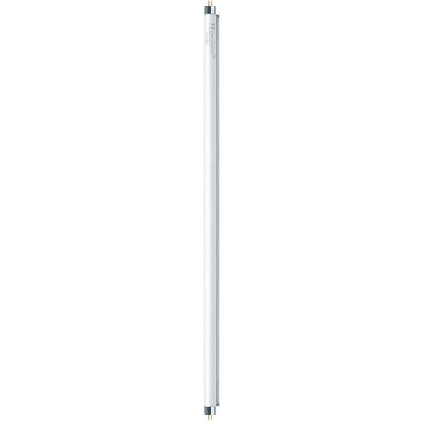Ampoule Lumilux  T5 35w/865 he G5 - 591360