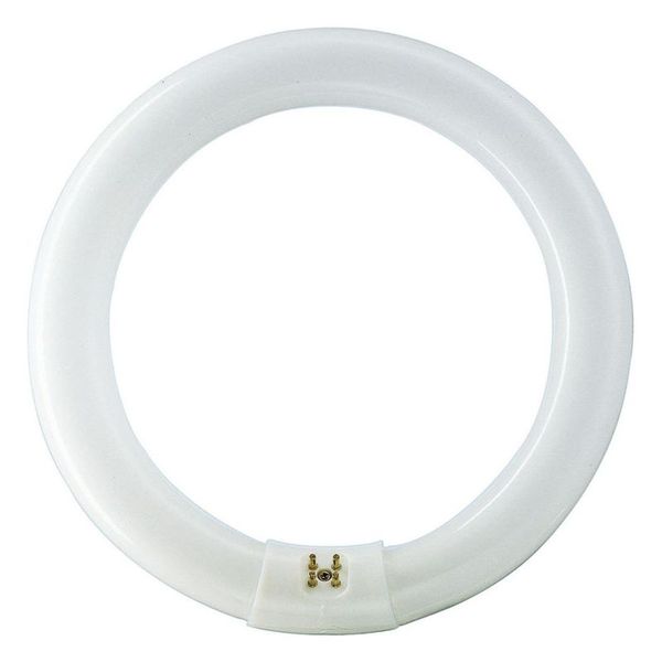 Tube fluorescent MASTER TL-E Circular Super 80 40W_840 284747