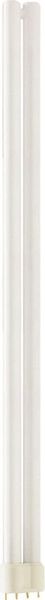 [PHI-610973] Ampoule Master PL-L 40W_840_4P 2G11 610973 Philips