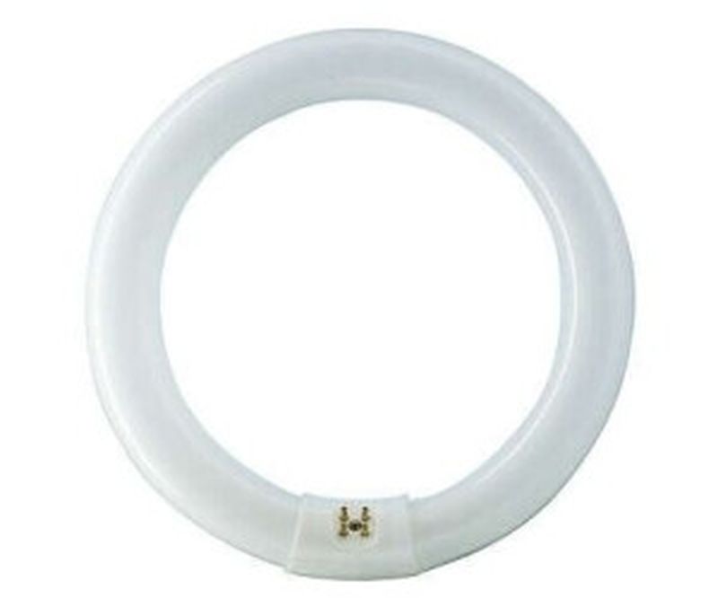 [PHI-840537] Ampoule Master TL-E Circular 22W_865 Philips 840537 840537 Philips