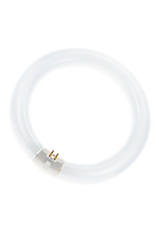 [PHI-840575] Ampoule Master TL-E Circular 40W_865 Philips 840575 840575 Philips