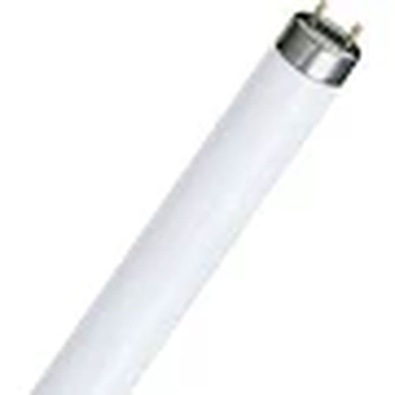 [PHI-888600] Ampoule Master TL-D 90 De Luxe 36W_950 SLV_10 Philips 888600 888600 Philips