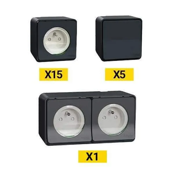 ProBox 15 prises de courant + 5 va-et-vient + 1 prise double précâblée SCHNEIDER Mureva - PFRB13