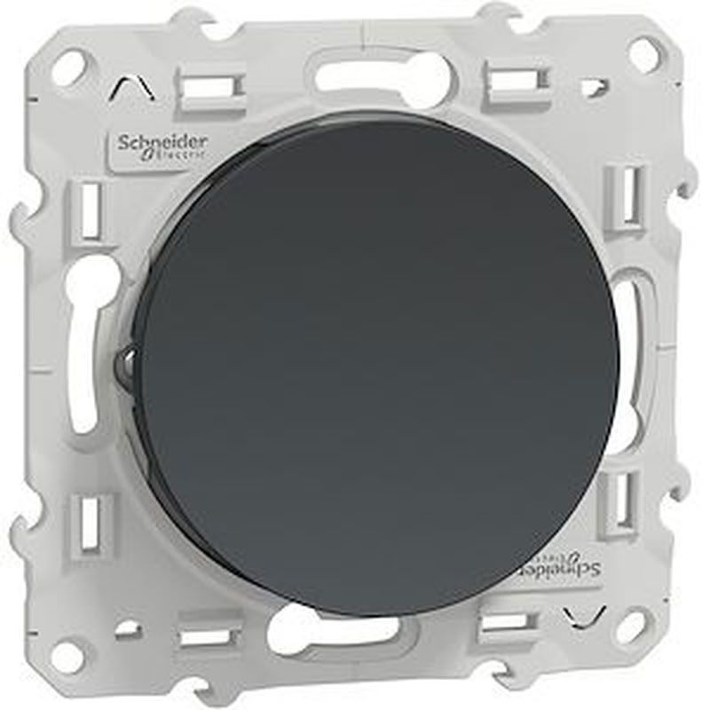 Odace, va-et-vient Anthracite, 10 A, à vis S540204