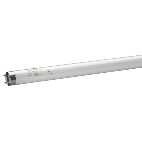 Tube T8 F25W 33/640 Blanc Industrie 742mm 4300°K - L70062