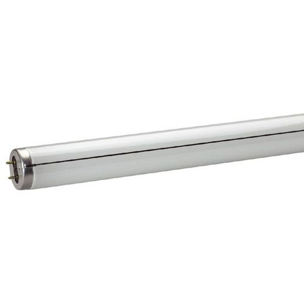 Tube IRS F20W T12 Blanc chaud 590mm 3000°K Tube fluorescent - L75001