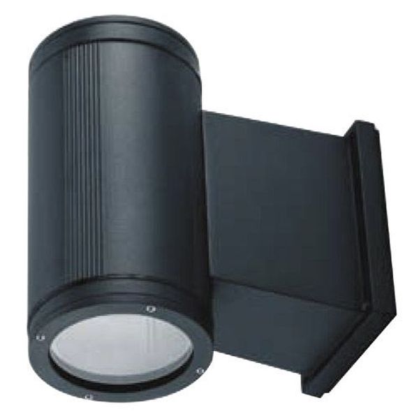 Applique PRO Iodure Métallique G12 70W Anthracite IP65 230V