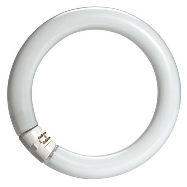 [L-76103] Ampoule Circline T8 40W 33_640 Blanc Industrie G10Q 4300°K fluorescent