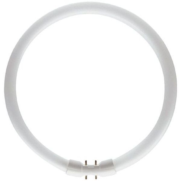 [L-76123] Ampoule Circline T5 55W Blanc 4000°K 2GX13 Ø16mm fluo Circulaire fluorescent