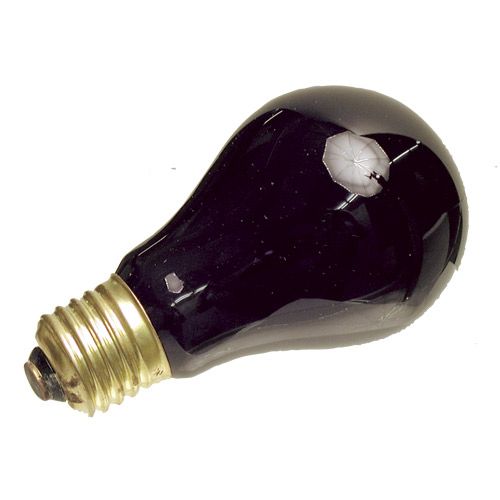 Lampe Standard 75W E27 Lumière noire 230V