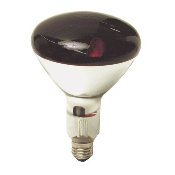 [L-9304] Lampe R125 Infra- Rouge 150W Rouge E27 230V couleur