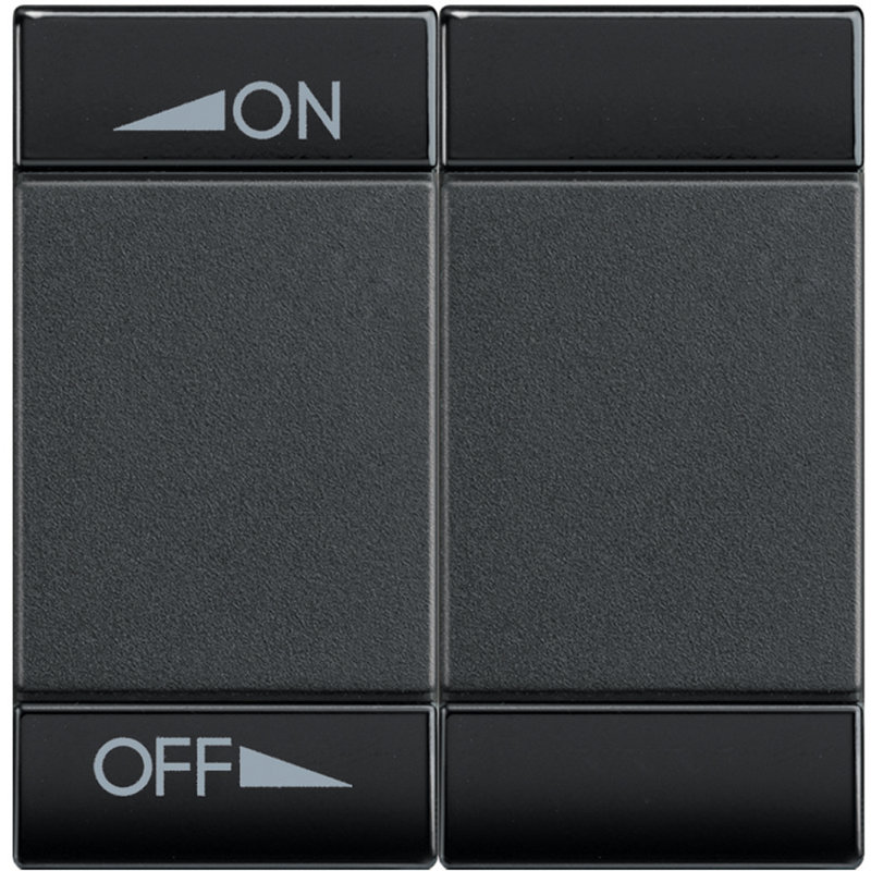[BTI-L4911M2AIN] Bticino L4911M2AIN - Manette Livinglight BUS pour diffusion sonore variation 2 modules - anthracite